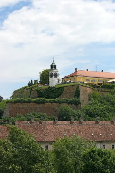 Башта годинника Petrovaradin фортеці Сербії — стокове фото