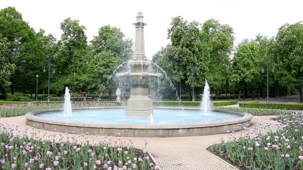 Flores e parque fonte Eger Hungria — Vídeo de Stock