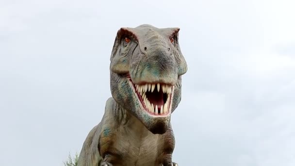 Tyrannosaure Rex dinosaure — Video