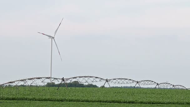 Éolienne sur le terrain — Video