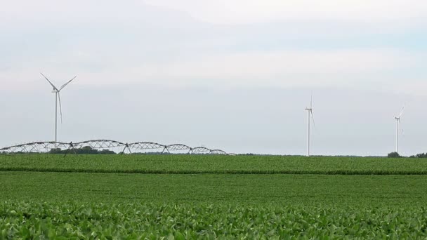 Windräder auf der grünen Wiese — Stockvideo