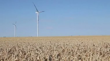 Rüzgar türbinleri buğday alan peyzaj üzerinde