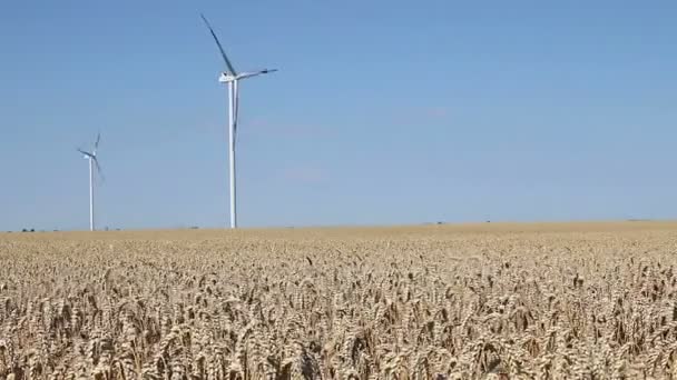 Éoliennes sur le champ de blé paysage — Video