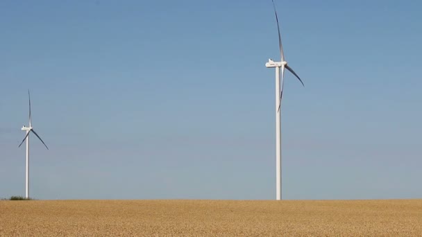 Turbinas eólicas no campo de trigo — Vídeo de Stock