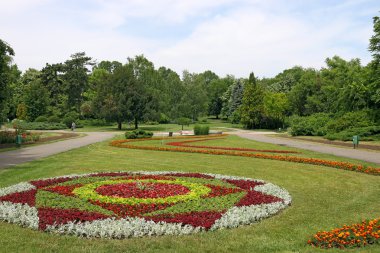 Botanik park Timisoara Romanya