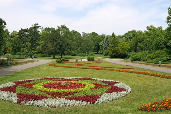 Park botaniczny Timisoara, Rumunia — Zdjęcie stockowe