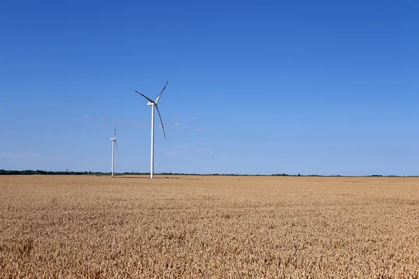 Wind turbines on wheat field landscape — Stock Photo, Image