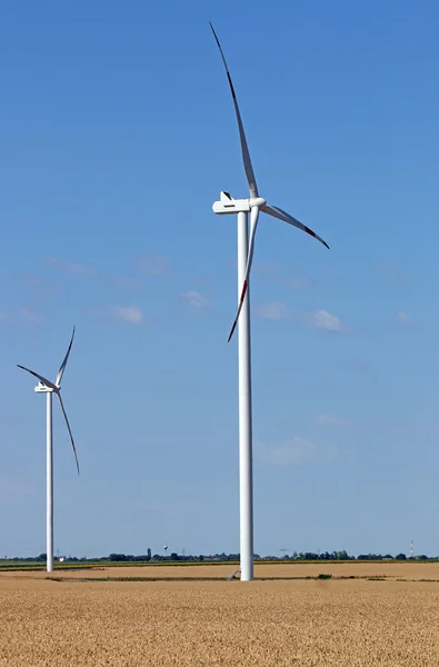 Wind turbines on wheat field — Stock Photo, Image