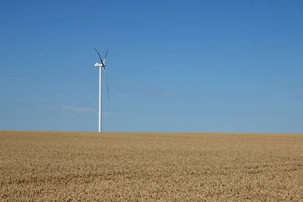 Wind turbine on field renewable energy — Stock Photo, Image