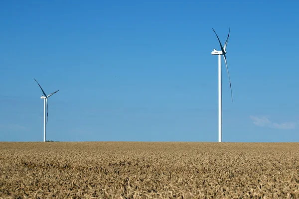 Turbinas eólicas no campo do trigo energias renováveis — Fotografia de Stock