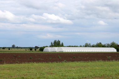 sera alanı tarım Sektöründen