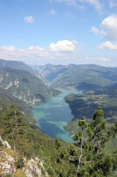 Drina river canyon hlediska Banjska stena Tara mountain landsca — Stock fotografie