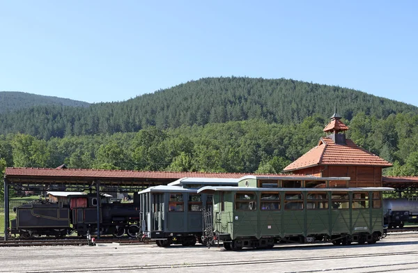 Stazione ferroviaria con carri vecchi e locomotiva a vapore — Foto Stock