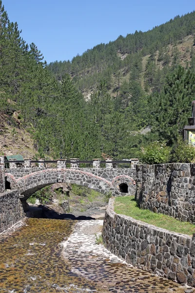 Piccolo ponte di pietra paesaggio montano — Foto Stock