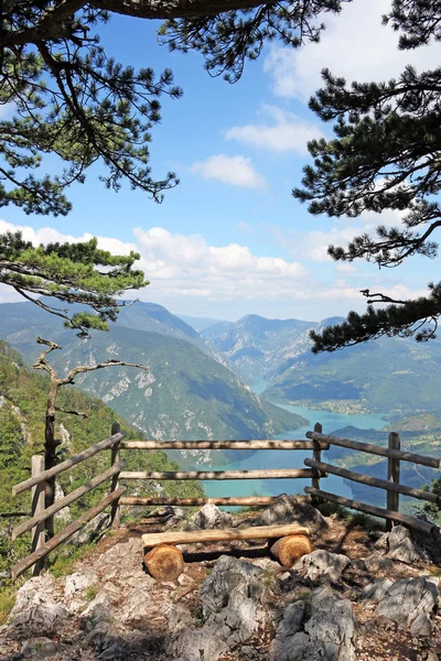 Gezichtspunt Banjska stena Tara berglandschap — Stockfoto