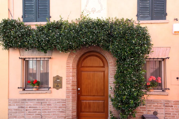 藤本植物在意大利里米尼的墙上的房子 — 图库照片