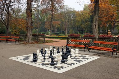 siyah ve beyaz satranç figürleri Park sonbahar sezon