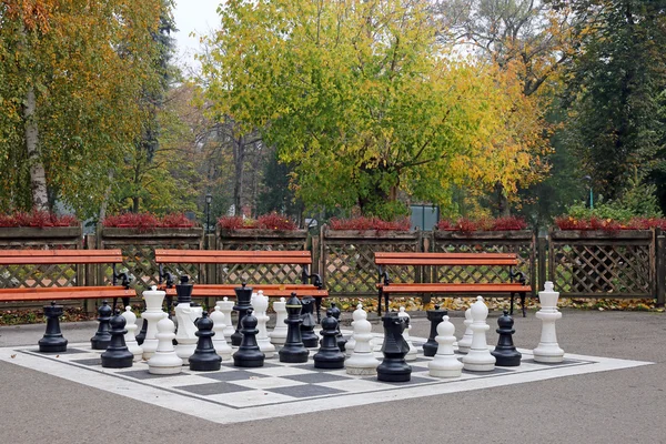chess figures in park autumn