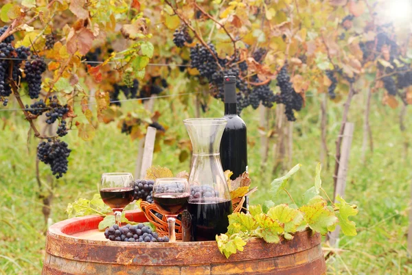 Червоне вино і виноград у винограднику — стокове фото