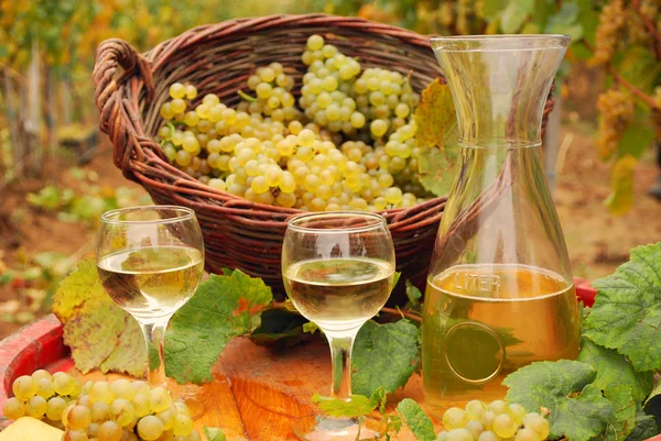 Witte wijn en druivenmost in de wijngaard — Stockfoto
