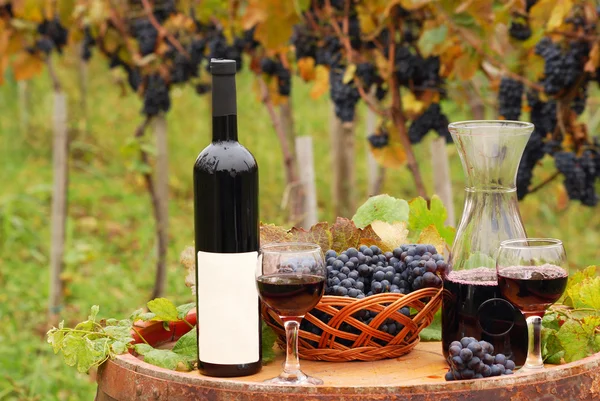 Red wine and grape on wooden barrel in vineyard — Stock Photo, Image