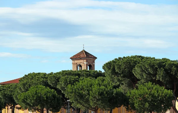 Παλαιός πύργος εκκλησιών και πεύκο δέντρα Ρίμινι Ιταλίας — Φωτογραφία Αρχείου
