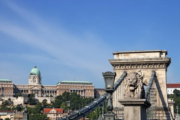 Ponte a catena e castello reale Budapest Ungheria — Foto Stock