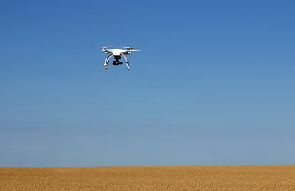 Drone πετάει πάνω από το πεδίο χρυσό σιτάρι — Φωτογραφία Αρχείου