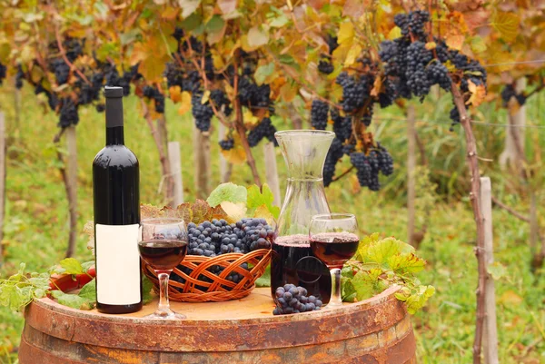 Красное вино и виноград осенний сезон — стоковое фото