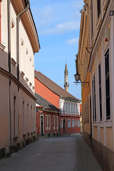 Straat Met Oude Gebouwen Een Minaret Eger Hongarije — Stockfoto