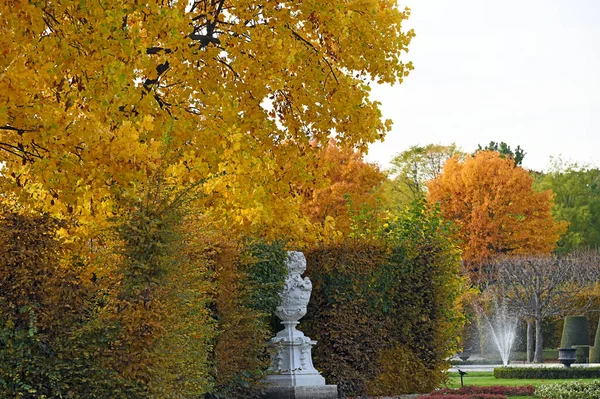 Park Und Bäume Mit Bunten Blättern Herbstsaison — Stockfoto