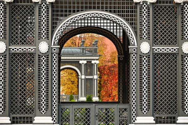 Detalle Del Jardín Otoño Viena Austria —  Fotos de Stock