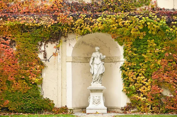 Pared Con Hojas Coloridas Planta Enredadera Estatua Viena Temporada Otoño —  Fotos de Stock