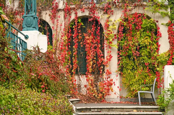 Strudlhofstiege Una Vieja Escalera Detalle Otoño Temporada Viena — Foto de Stock