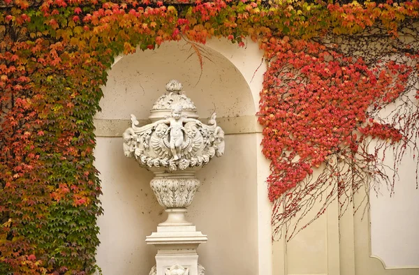 挂满爬虫植物的城墙和雕像秋天的季节奥地利维也纳 — 图库照片
