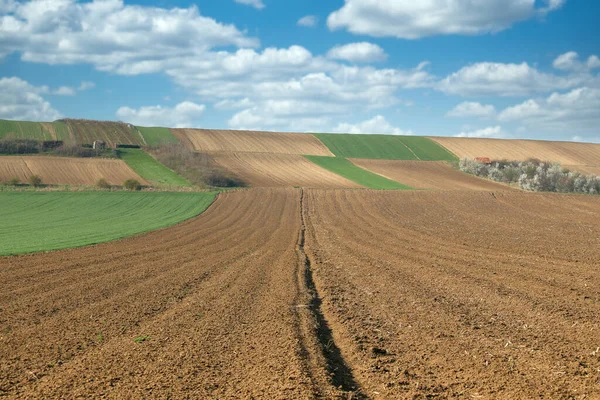 Campo Arato Paesaggio Primavera Stagione Agricoltura — Foto Stock