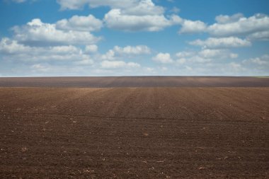 Voyvodina Sırbistan 'da tarla sürüldü