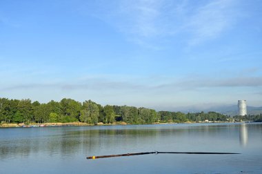 Viyana şehri Avusturya 'da sabah Tuna Nehri