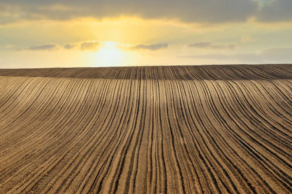 Campo Arato Tramonto Paesaggio Agricoltura — Foto Stock