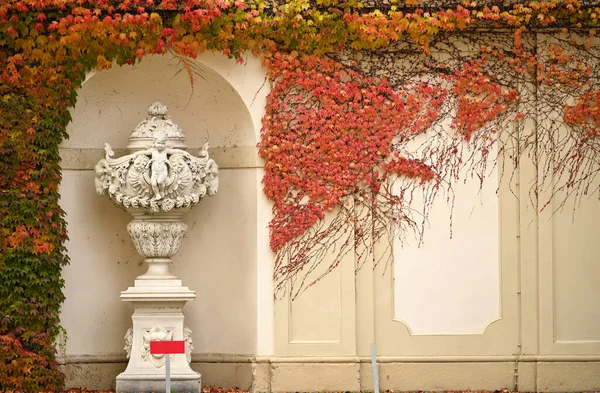 Mauer Mit Schlingpflanze Und Statue Wiener Herbst — Stockfoto