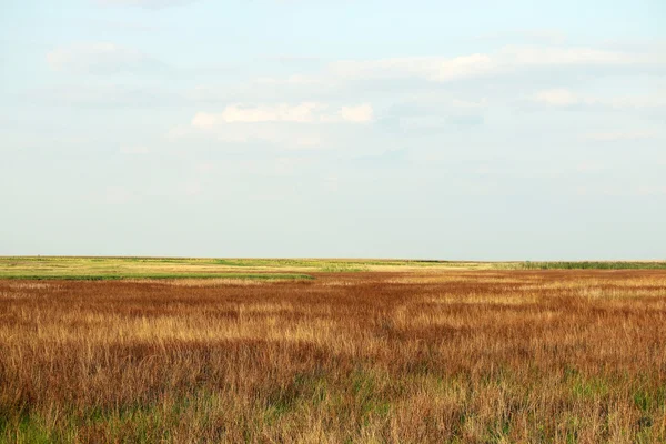 Veld Najaar Seizoen Natuur Landschap — Stockfoto