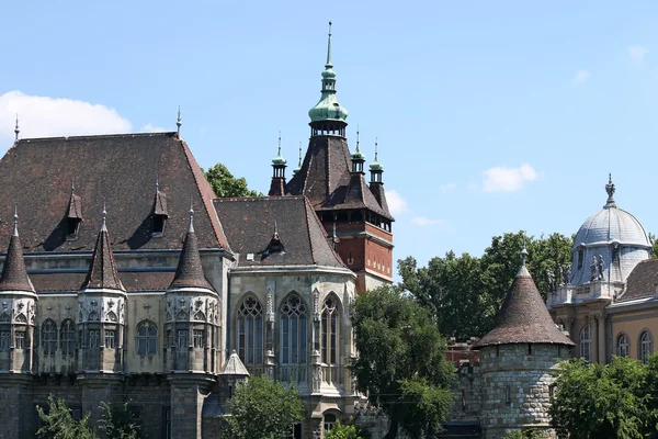 Castle vajdahunyad landmark Budapest Hungary — Stock Photo, Image