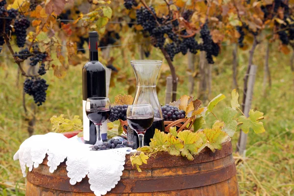 Rotwein und Trauben auf Holzfässern — Stockfoto
