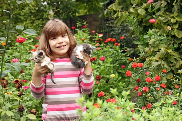 Щаслива маленька дівчинка тримає кошенят — стокове фото