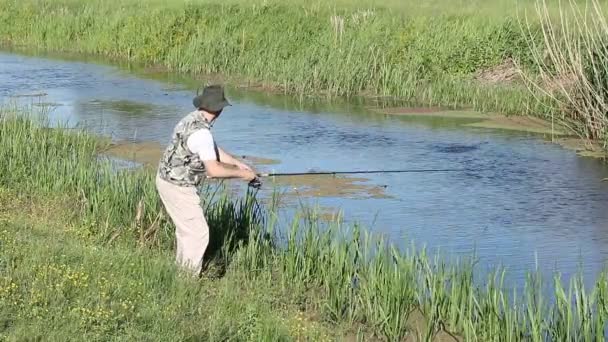 Pêcheur volant pêche sur la rivière — Video