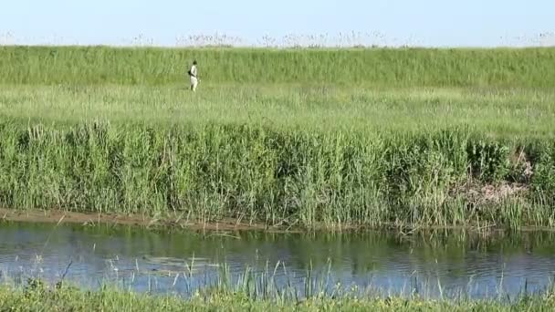 Fisherman goes fishing — Stock Video