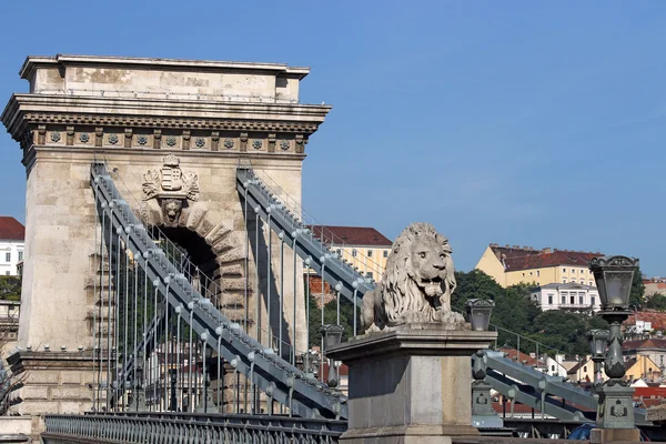 Lion statue chaîne pont Budapest — Photo