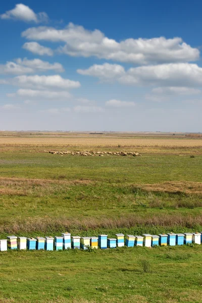 Alveare sul campo paesaggio — Foto Stock