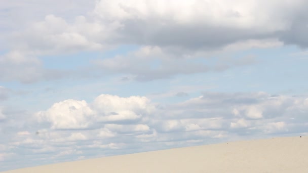 Κορίτσι πεζοπόρος περπάτημα στην έρημο — Αρχείο Βίντεο