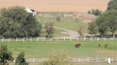 Çiftlik ağılı manzara atları ile